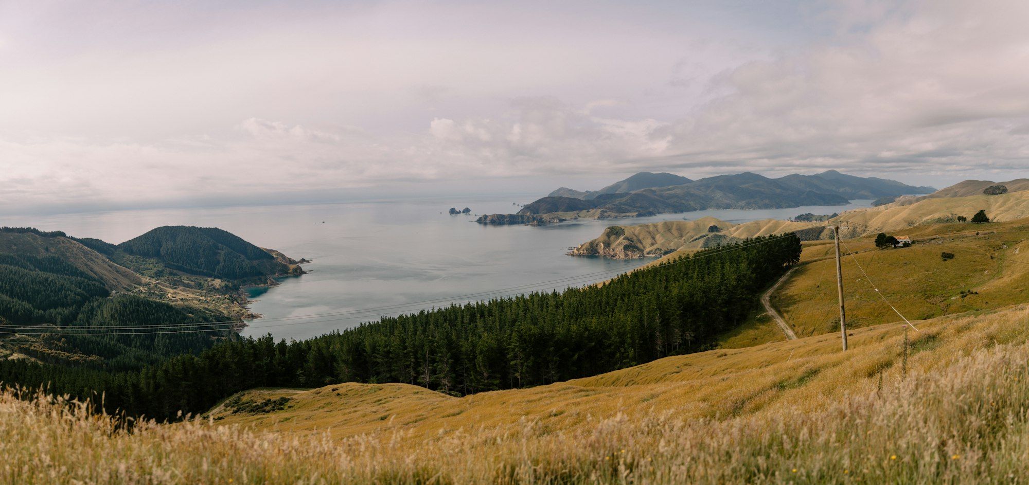 Rolling hills above calm water in the Marlborough Sounds