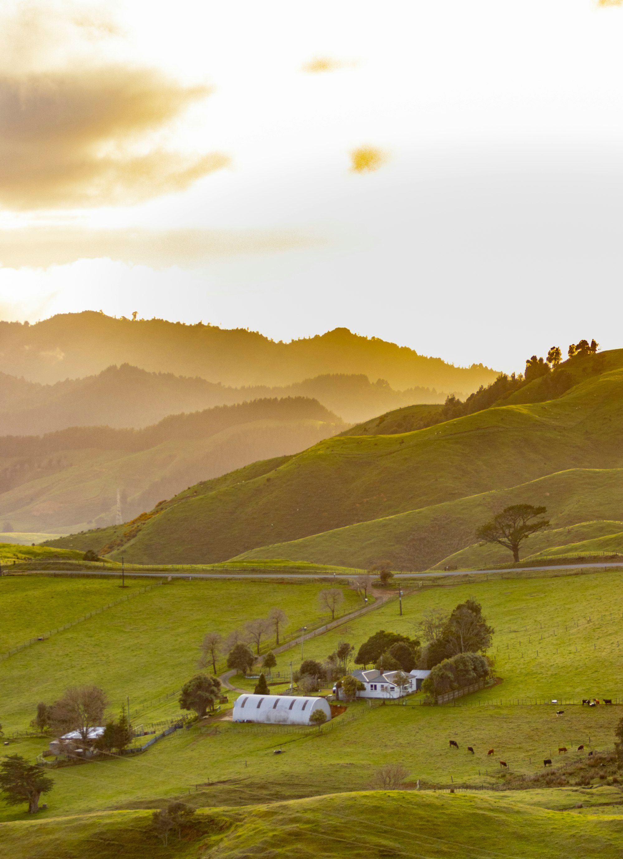 White work van parked on a green paddock at sunrise in rural Waikato